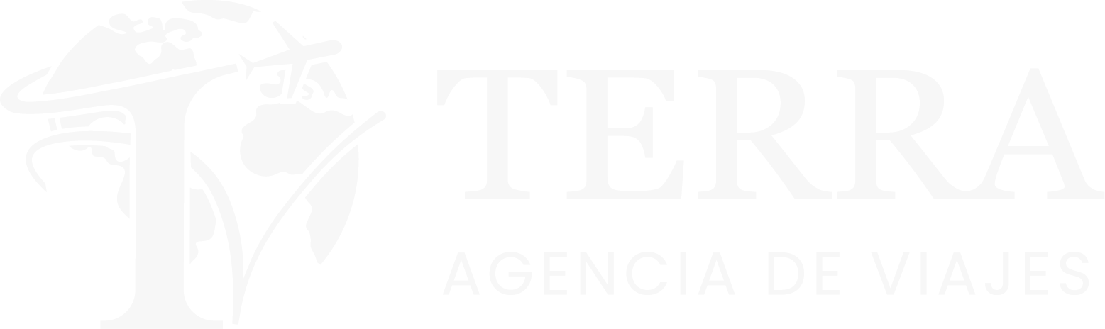 Terra Viajes